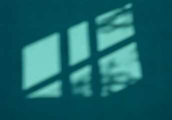 Green wall with sunlight