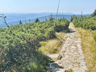 Mountain trail in the Karkonosze Mountains near Szklarska Poręba, Poland, surrounded by scenic forested peaks and hiking paths.