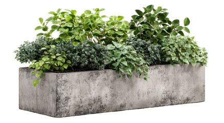 Gray planter box filled with greenery