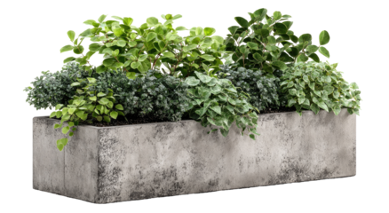 Gray planter box filled with greenery