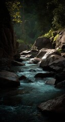 Naklejka premium Sunlight filters through trees onto a rocky forest stream