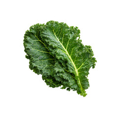 Fresh Green Kale Leaf Isolated on Black Background