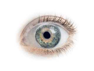 Human eye iris pupil eyelashes eyelid image, Isolated On Png Transparent Background