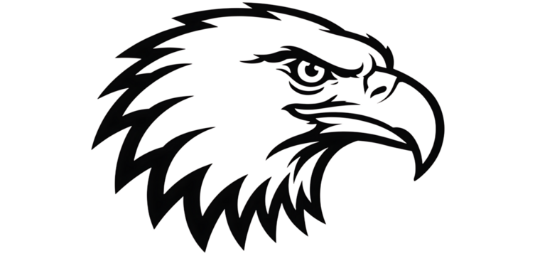 Eagle head vector illustration isolated on transparent background