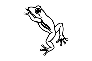 a frog leaping gracefully with detailed limbs and eyes silhouette