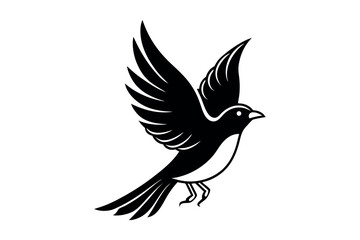 a bird in flight with spread wings silhouette