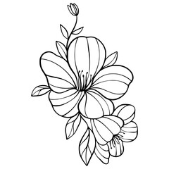 Flower Leaf  Outline Ornament  Element Decoration Illustration 