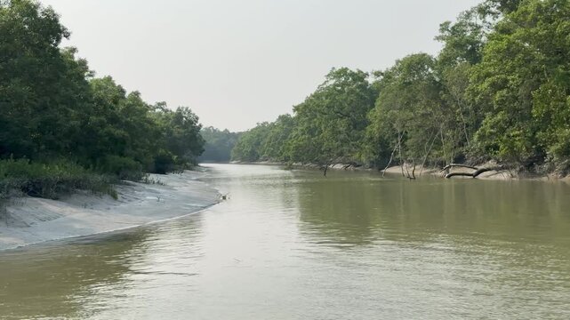4K Scenic View of Sundarbans Mangrove Forest River Channel &ndash; UNESCO World Heritage Site in Khulna, Bangladesh
