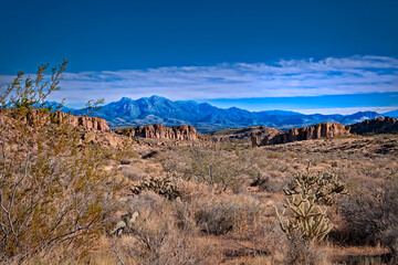 Vast desert terrain  rugged mountains in the distance, with sparse vegetation fall in New Mexico’s arid landscape under a bright blue sky.