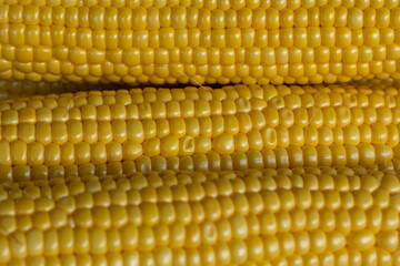 Close up macro shots of golden colored corn