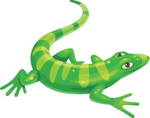 lizard on a white background