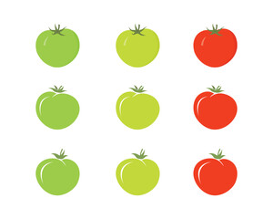 Green and Red Tomatoes Vector – Fresh Whole Tomato Illustration for Organic Food Design