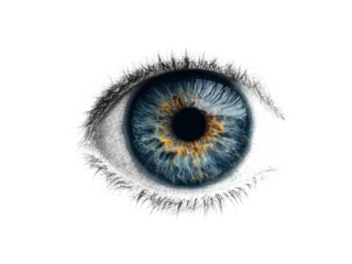 Blue golden iris with white eyelashes against black brown, Isolated On Png Transparent Background