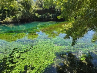 Beautiful Green-Tinted Crystal Water in La Fontaine-de-Vaucluse Spring, Provence.