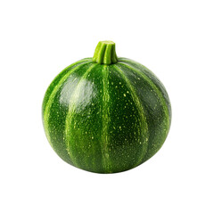 Single Round Green Zucchini Squash on Black Background