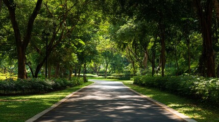 Minimalist Outdoor Park Pathway with Trees and Sunlight – Clean Nature Background for Design and Web