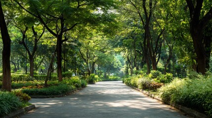Minimalist Outdoor Park Pathway with Trees and Sunlight – Clean Nature Background for Design and Web