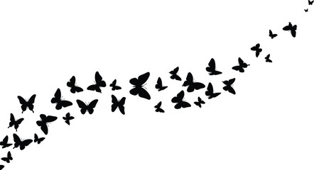 Black butterfly silhouettes flying, butterfly swarm pattern, nature design, flying insects, butterfly art, decorative wing shapes, freedom symbol, flying pattern design.