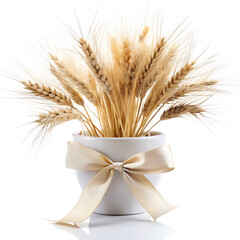 Golden Wheat Stalks in a White Pot with Ribbon on White Background