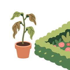 Cartoon Illustration of a Dying Potted Plant Next to a Thriving Garden Bed, Showing Neglect and Care