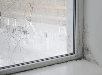 corner of window in apartment covered with black mold. Dirty spots spread across frames and...