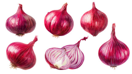 Onion isolated set, collection of red onion on transparent background