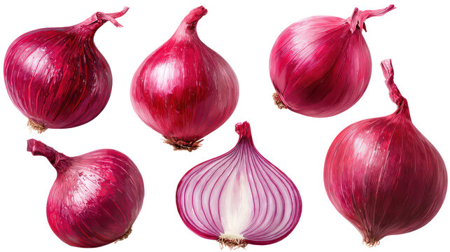 Onion isolated set, collection of red onion on transparent background