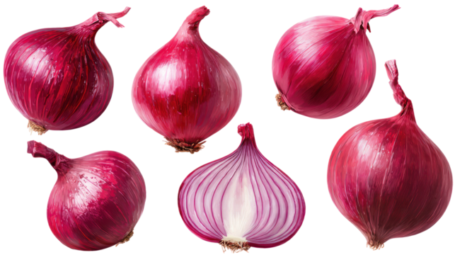 Onion isolated set, collection of red onion on transparent background