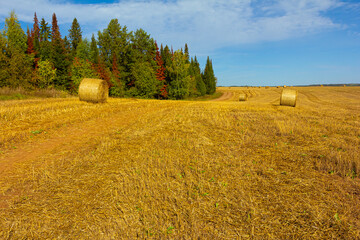 Countryside landscape with harvested field with bales and forest on sunny day