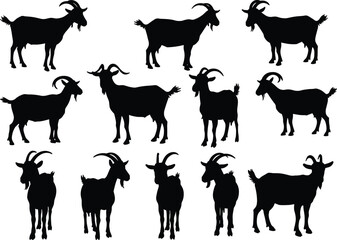 Goat silhouette vector collection, farm animal graphic, livestock goat illustration, black goat shapes, rural livestock clipart for design projects
