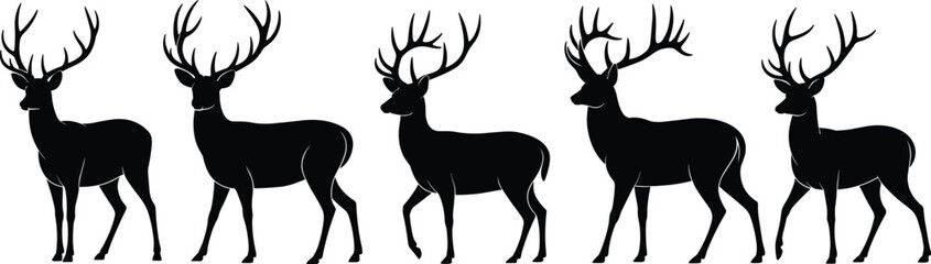 Deer silhouette vector illustration, standing stag artwork, wildlife animal design, antler deer pose, forest creature graphic, black silhouette art