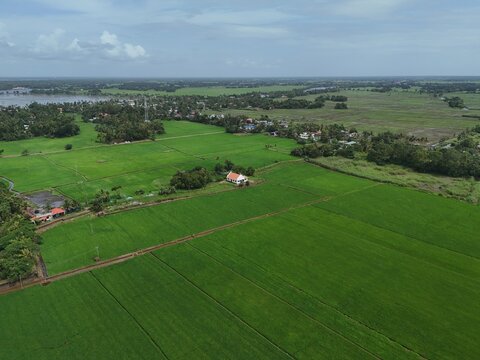 Aerial drone view of C.S.I Church surrounded by paddy fields in Kuttanadu, Kerala, India