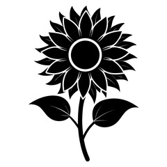sunflower vector illustration
