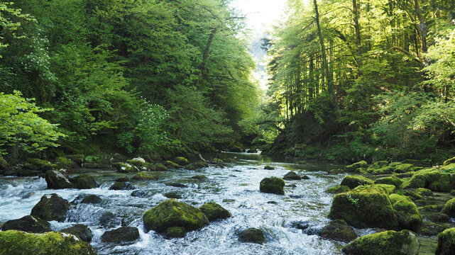 Lever de soleil, nuance de vert