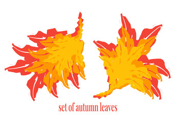 abstract design of fallen maple leaves