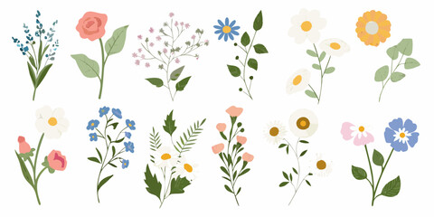 Collection of charming hand drawn wildflowers and floral elements in various colors and styles