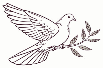 dove of peace vector illustration