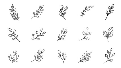 Decorative Branches & Leaves