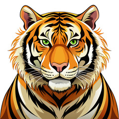 Fototapeta premium Tiger real,white background