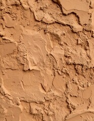 Fototapeta premium Textured, earthen-toned surface