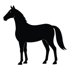 Silhouette of a horse isolated on white background, side view illustration