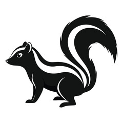Black and white skunk isolated on white background with a bushy tail