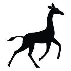 Obraz premium Silhouette of a giraffe walking isolated on white background
