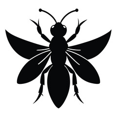 Black silhouette of a wasp with detailed wings isolated on white background