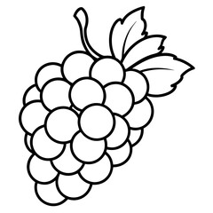 vector illustration of grapes