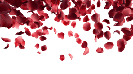 Falling red rose petals create a romantic and elegant atmosphere for any occasion