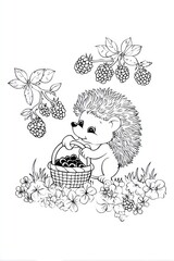 Hedgehog gathering berries