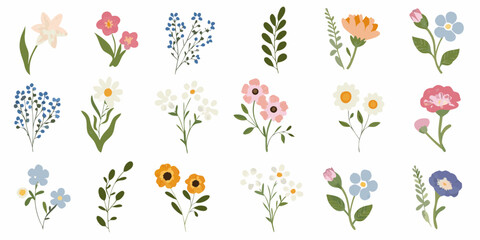 Collection of delicate hand drawn botanical illustrations of various flowers and greenery