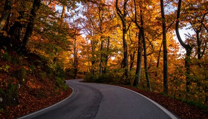 Obraz premium Winding road through colorful autumn forest