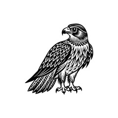 Detailed black and white illustration of a falcon perched on the ground